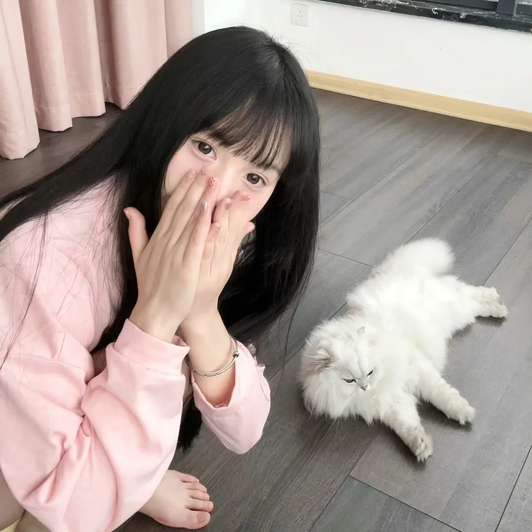 樱花恋歌 海报